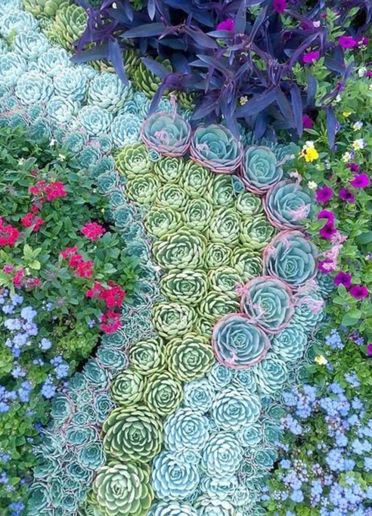 Beautiful Succulent Garden Ideas And Designs Indoor And Outdoor