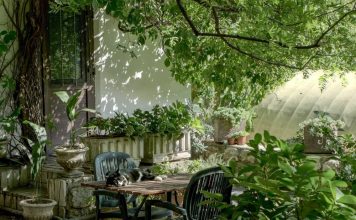 Keep Your Garden Clean and Neat With These Useful Tips