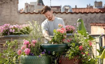 Want To Grow Your Own Plants? Here Are Some Helpful Tips