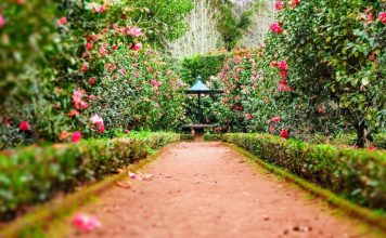 6 DIY Tips For Redesigning Your Garden