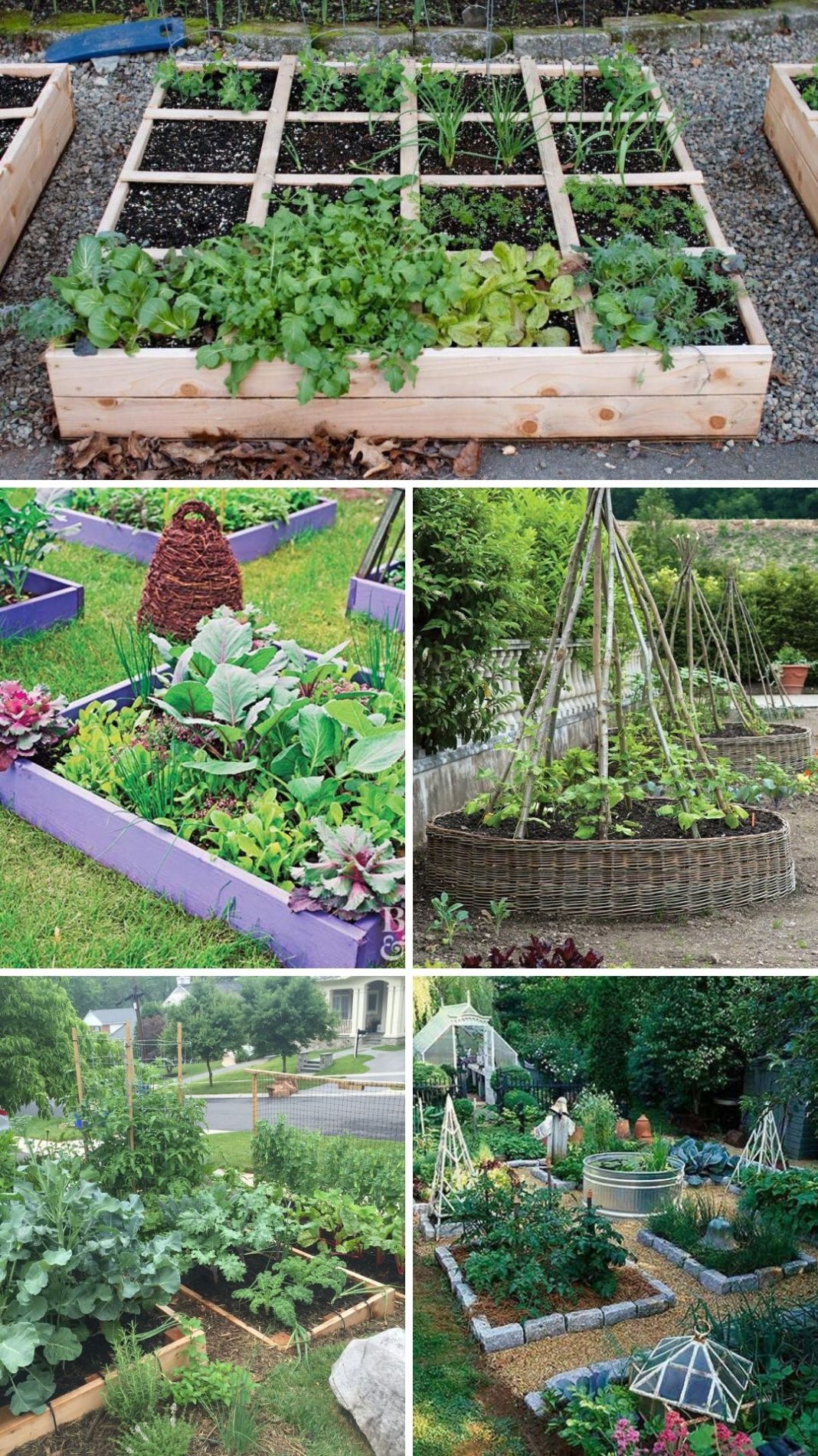 21+ Brilliant & Cheap Garden Edging Ideas With Pictures For 2022