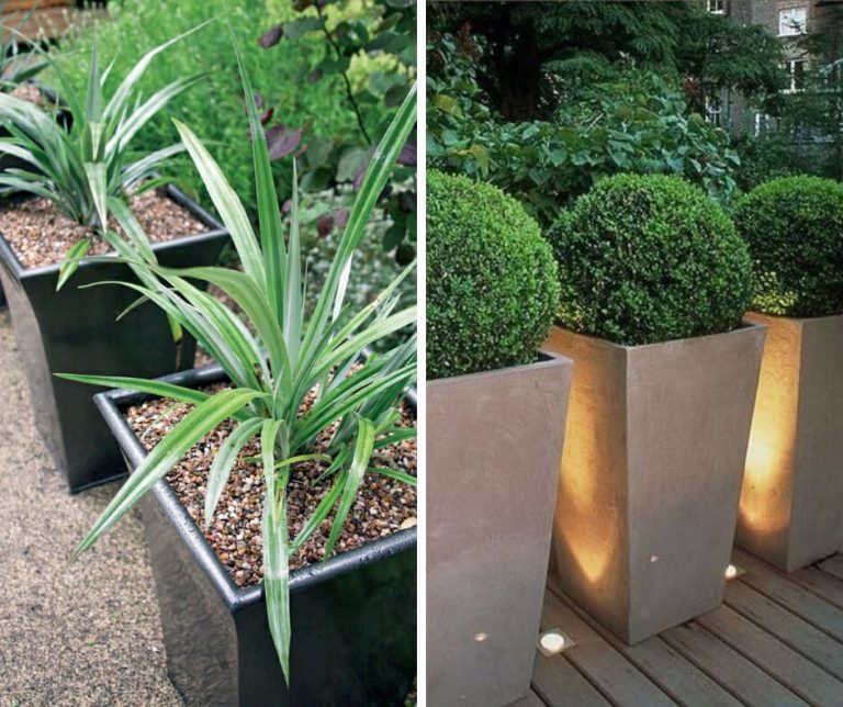 How to Make Leading Lines In Your Garden