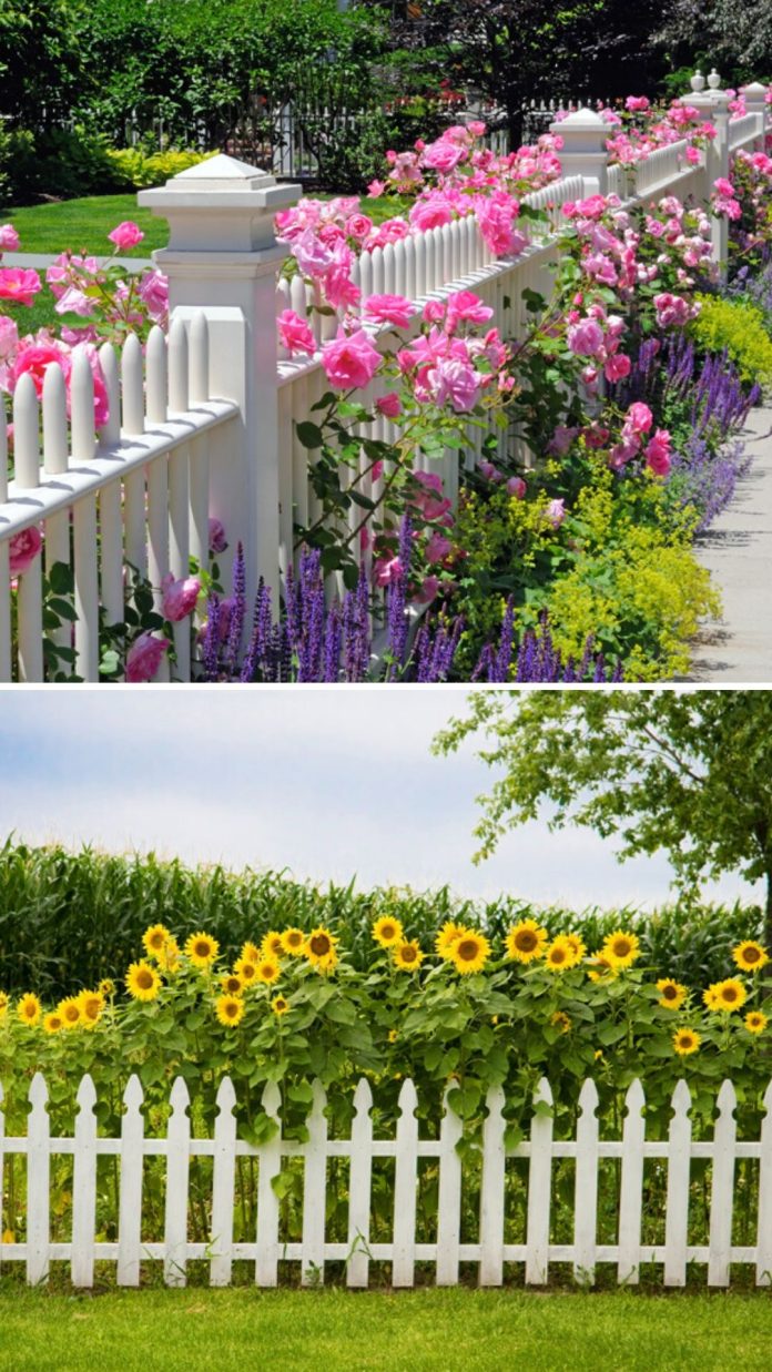 20+ Best DIY Fence Ideas For Your Backyard - DIY Morning