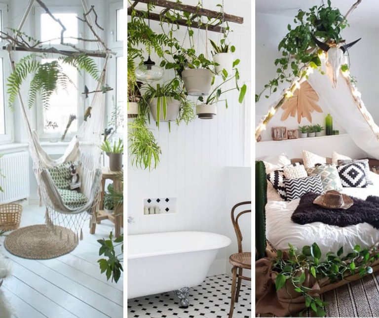 15 Decoration ideas with plants to make every corner of your home an Eden