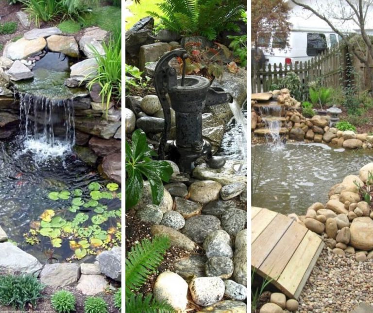 How to Make a Garden Pond