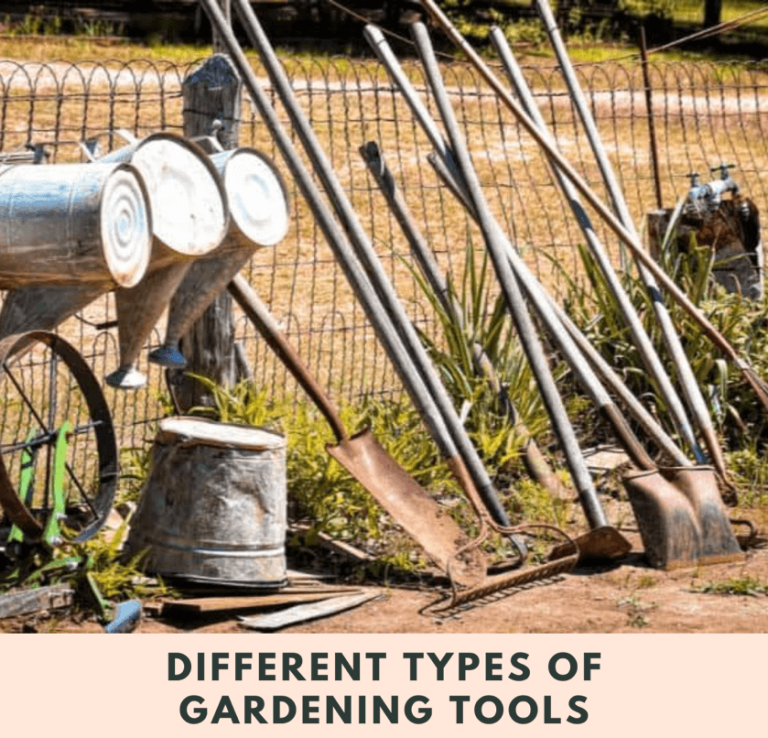 6 Different Types of Gardening Tools