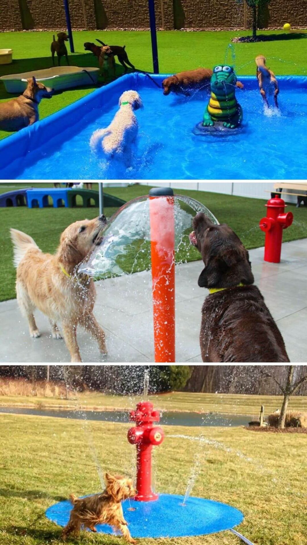 15-backyard-landscaping-ideas-that-will-give-your-dogs-happy-barks