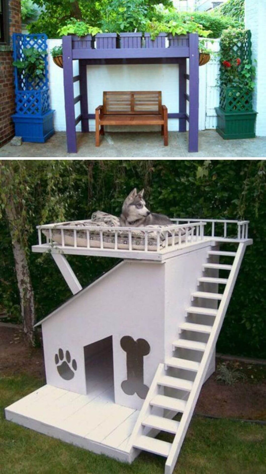 15 Backyard Landscaping Ideas That Will Give Your Dogs Happy Barks