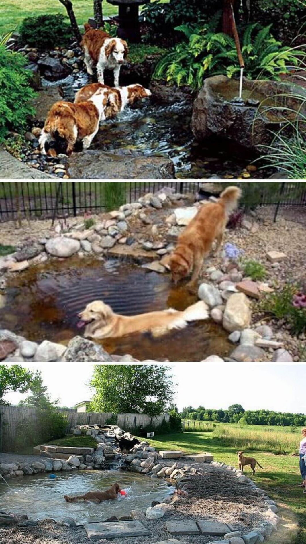 15 Backyard Landscaping Ideas That Will Give Your Dogs Happy Barks