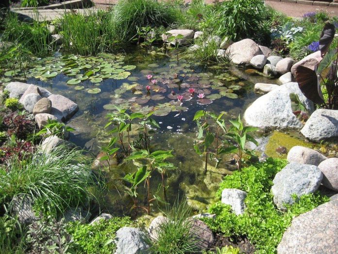 How To Build A Garden Pond: Here are 35+ Beautiful Backyard Pond Ideas