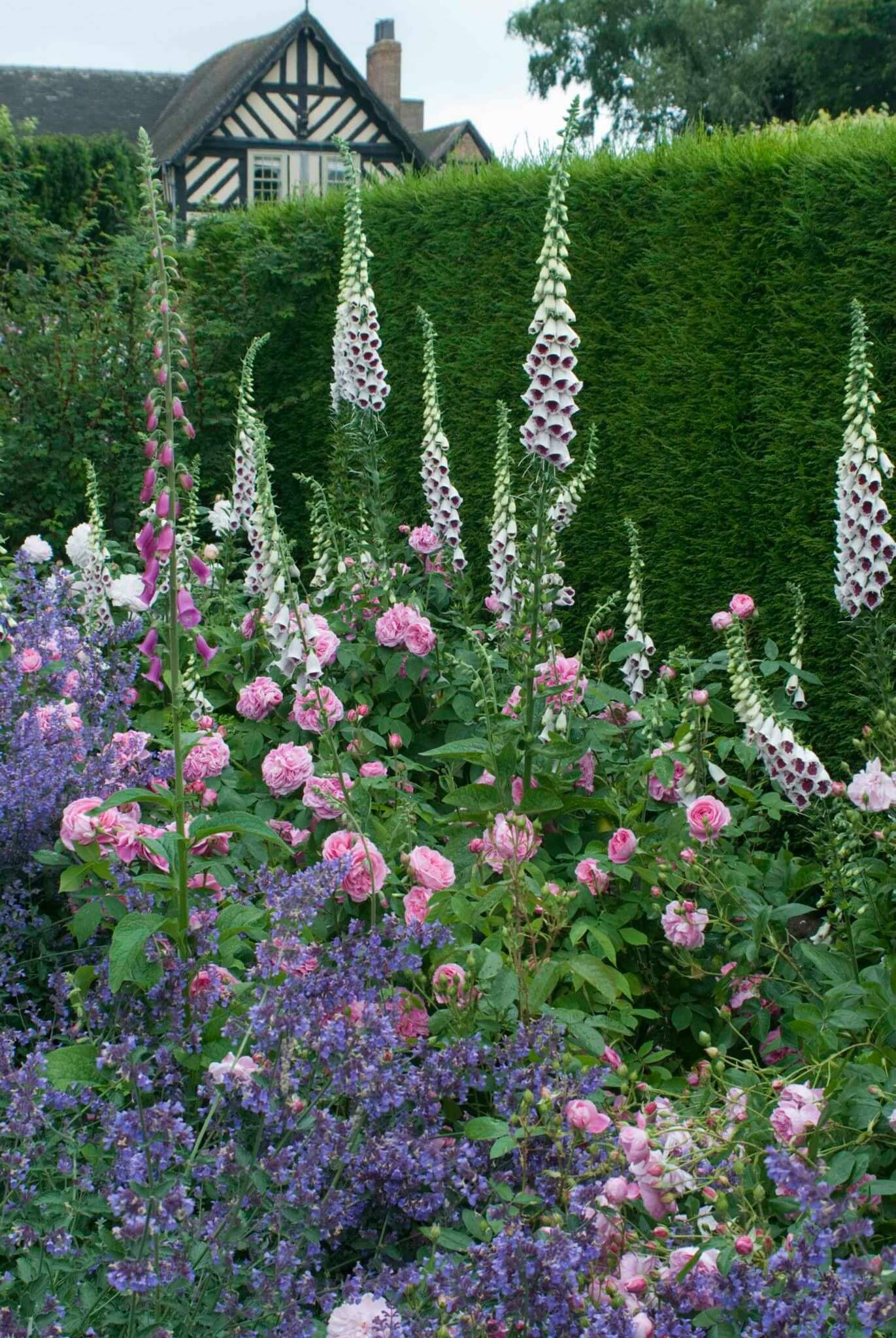 English Garden Ideas For Backyard