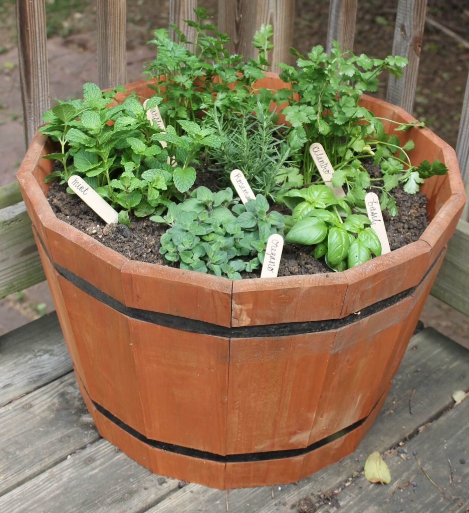 Growing Herbs in Small Spaces 31+ Creative Herb Container Garden Ideas