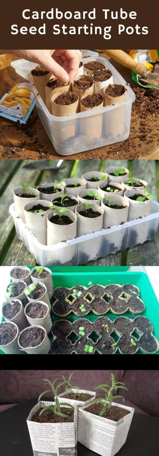 20 Brilliant Diy Gardening Hacks You Wish You Knew Early On 7356