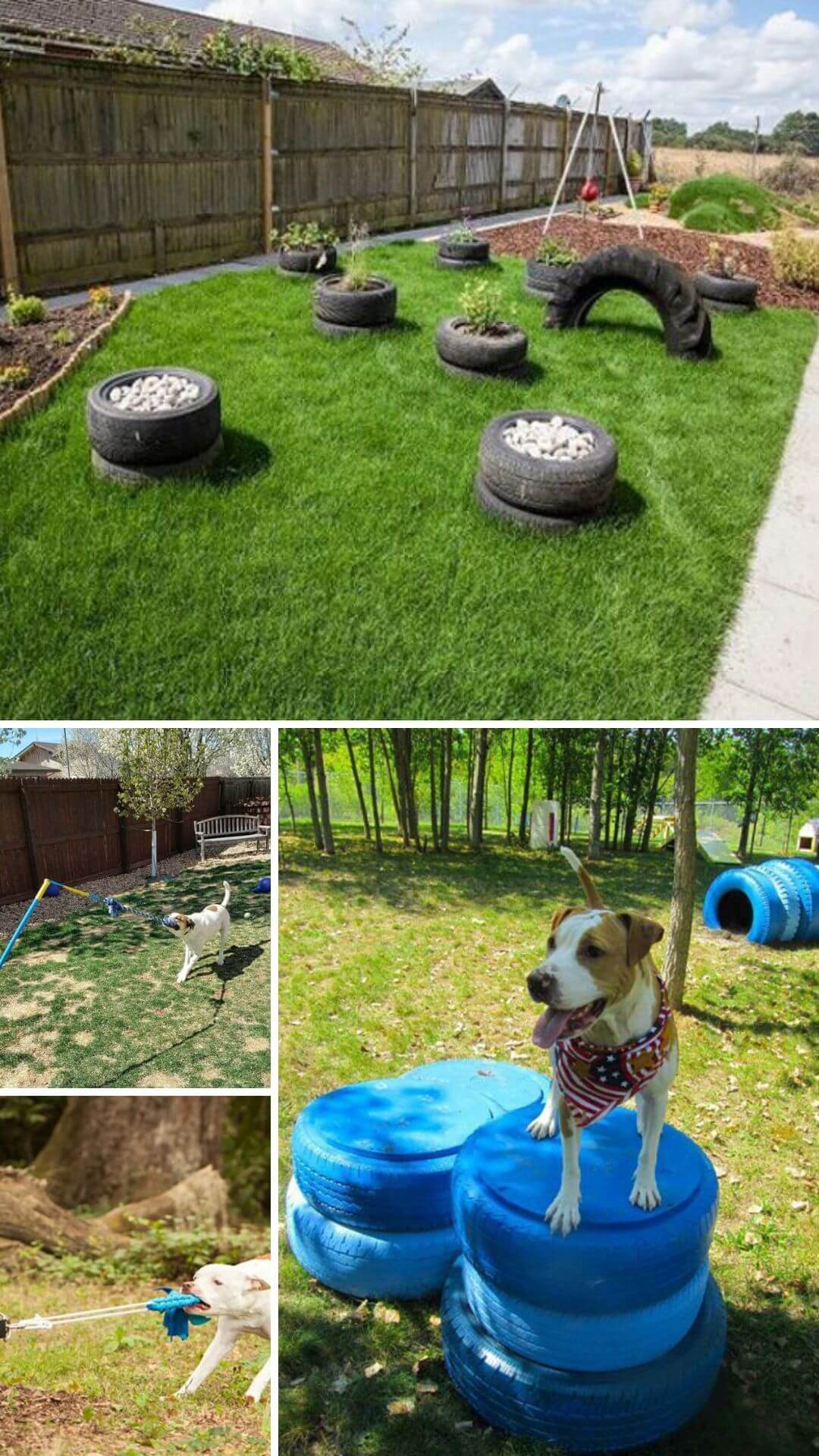  landscaping ideas for dogs