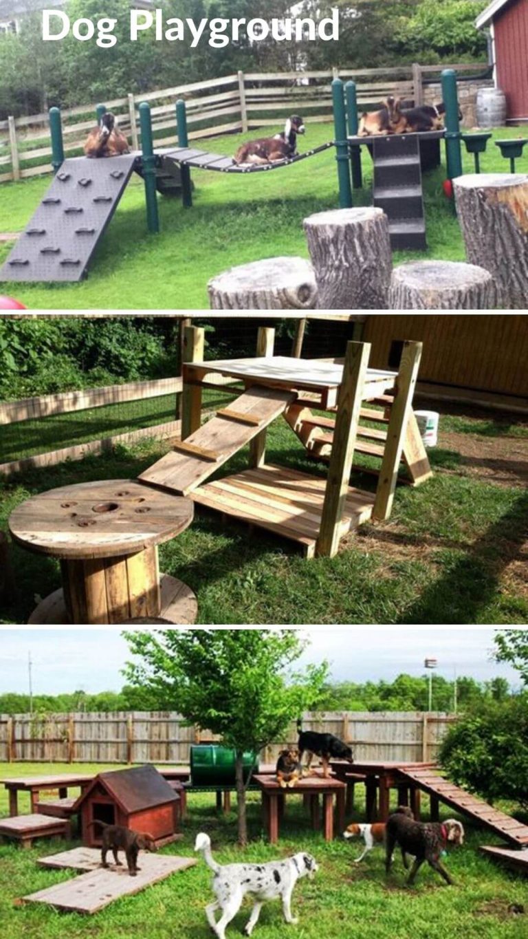 15-backyard-landscaping-ideas-that-will-give-your-dogs-happy-barks