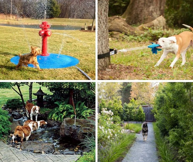 15+ Backyard Landscaping Ideas That Will Give Your Dogs Happy Barks