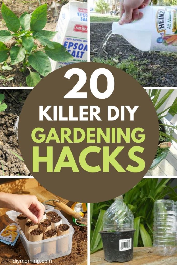 20+ Brilliant DIY Gardening Hacks You Wish You Knew Early On