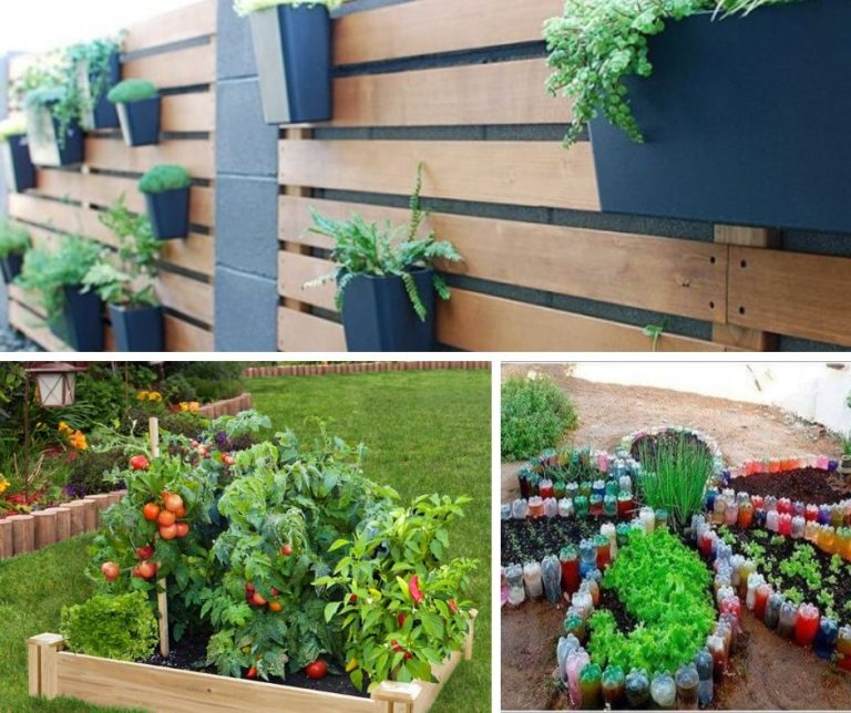 17+ Clever & Cheap DIY Garden Ideas Easy and Out of the Box