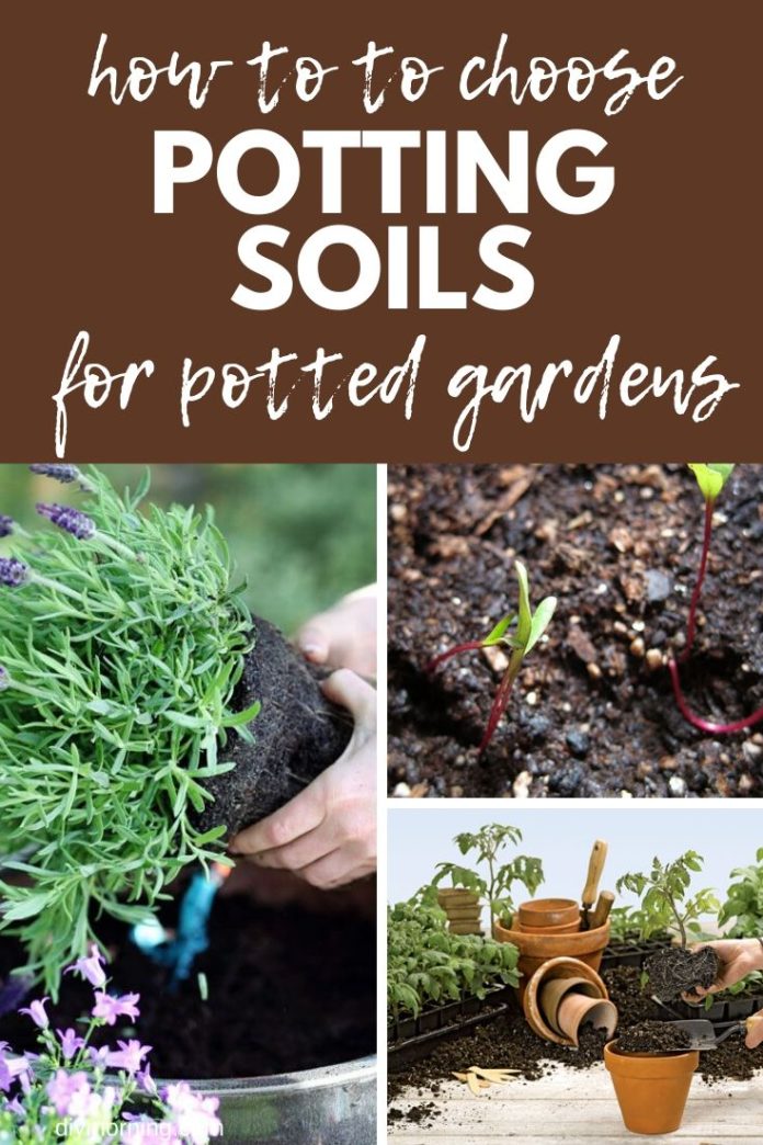 How To Choose Potting Soils For Containers - Mix Soilless Ingredients ...