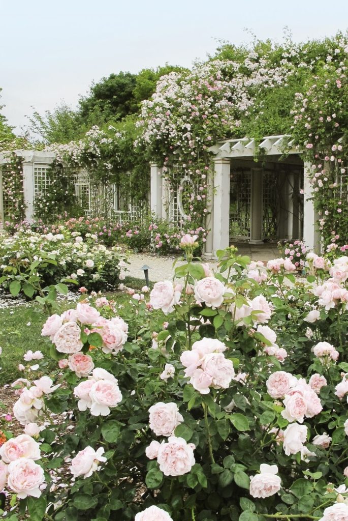 45+ Beautiful Backyard Landscaping Ideas That Will Inspire You