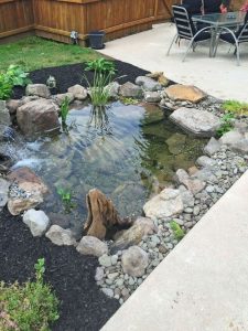 Aquatic Polyculture: 30+ Inspiring Modern Backyard Pond Ideas