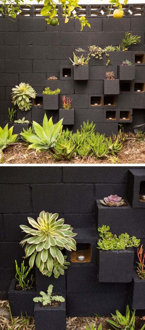 Cinder block succulent wall