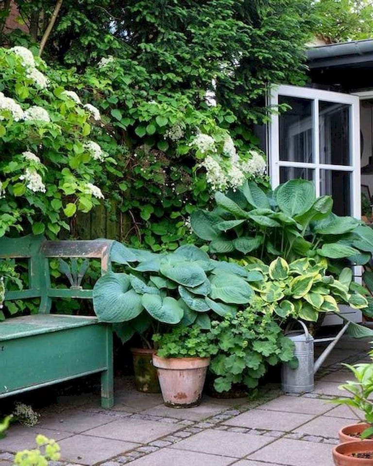 Best cottage style garden ideas for landscaping #16