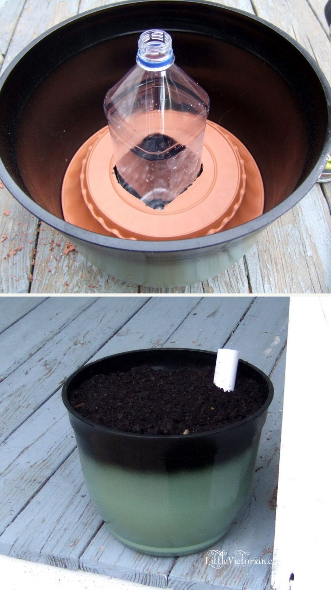 DIY self-watering planter from empty bottle
