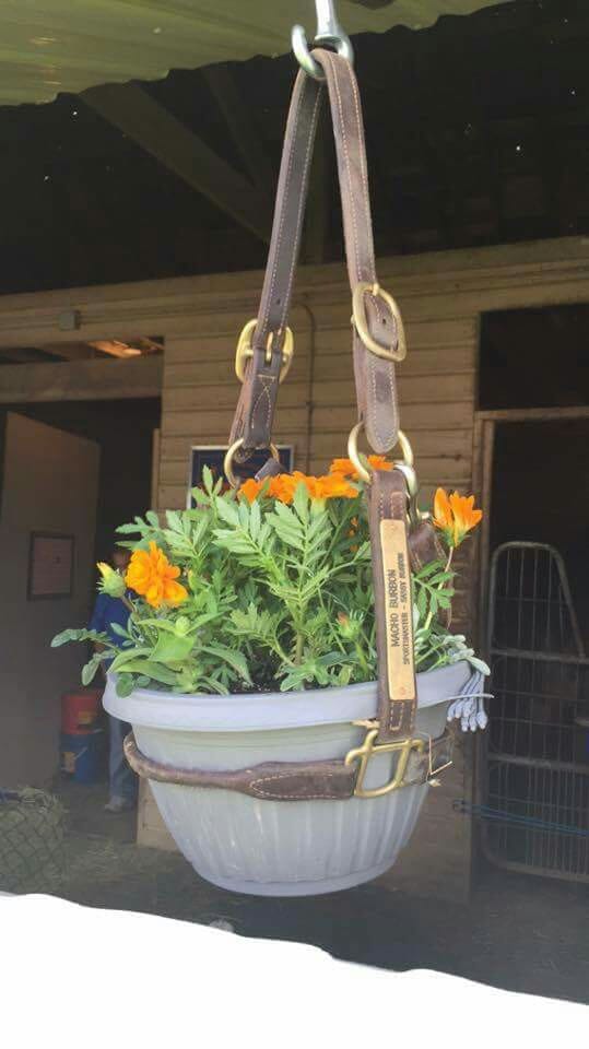 hanging horse planter outdoor pot diy holder recycled bridle plant decor yard planters barn designs brighten garden horses charming pots
