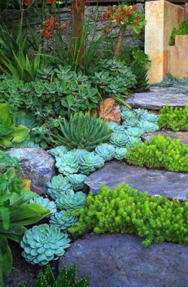 25+ Beautiful Succulent Garden Ideas and Designs (Indoor and Outdoor)