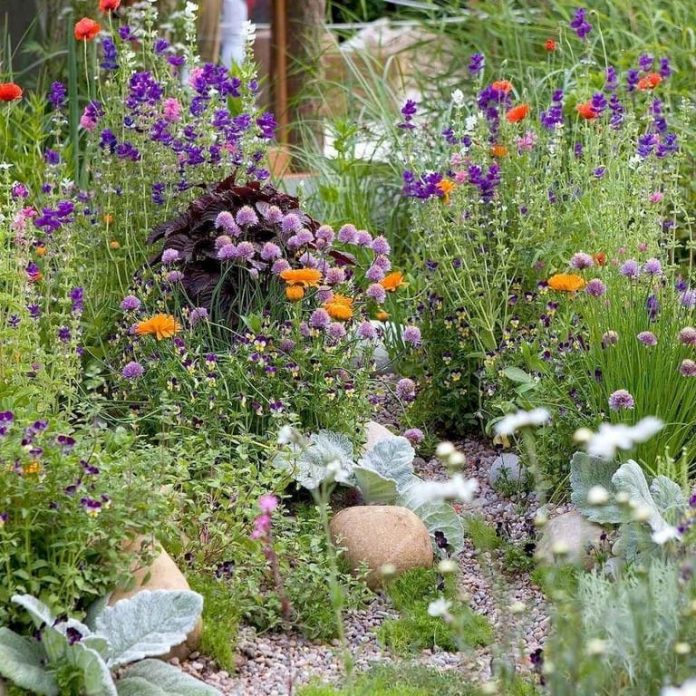 50+ Charming Cottage Style Garden Ideas and Designs For Landscaping