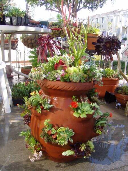 How to Plant a Strawberry Pot: 20+ Creative Strawberry Pot Plant Ideas