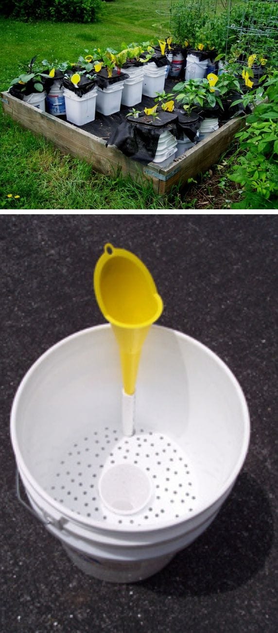 DIY self watering container