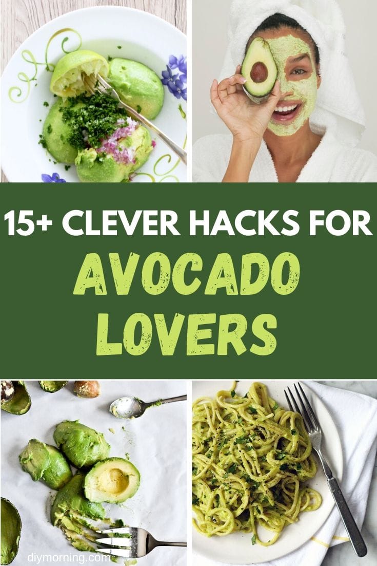 Clever Hacks For Avocado Lovers