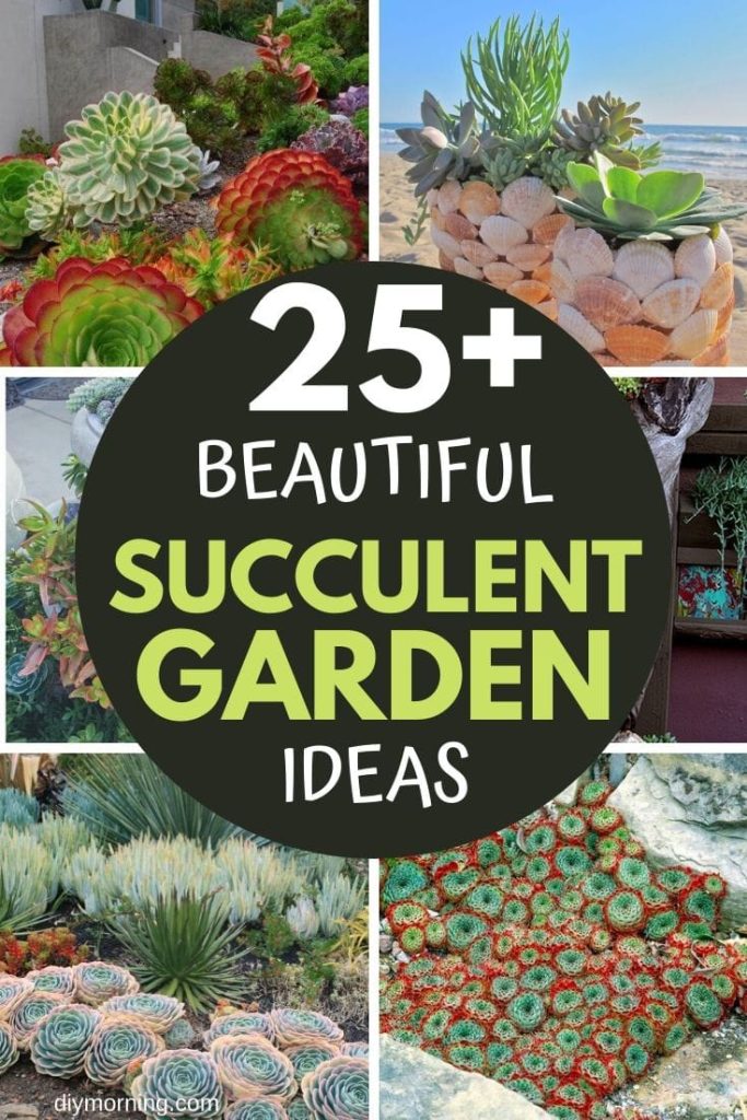 25+ Beautiful Succulent Garden Ideas And Designs (indoor And Outdoor)