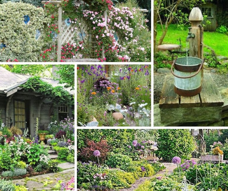 50+ Charming Cottage Style Garden Ideas and Designs For Landscaping
