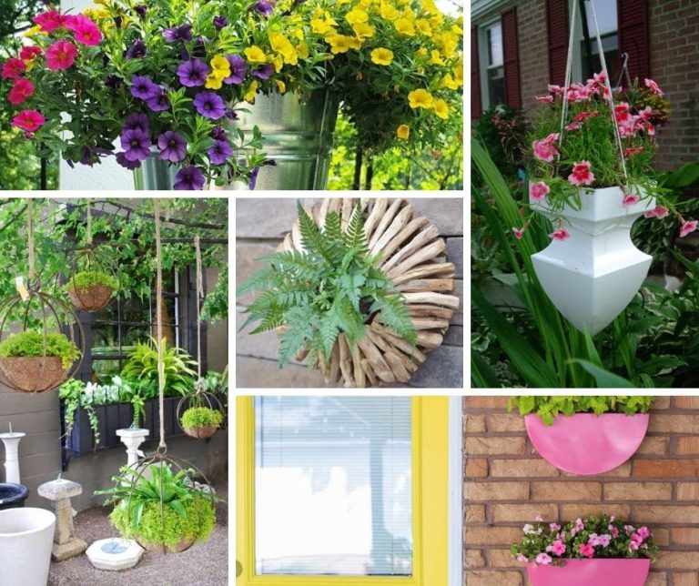 Best outdoor hanging planter ideas