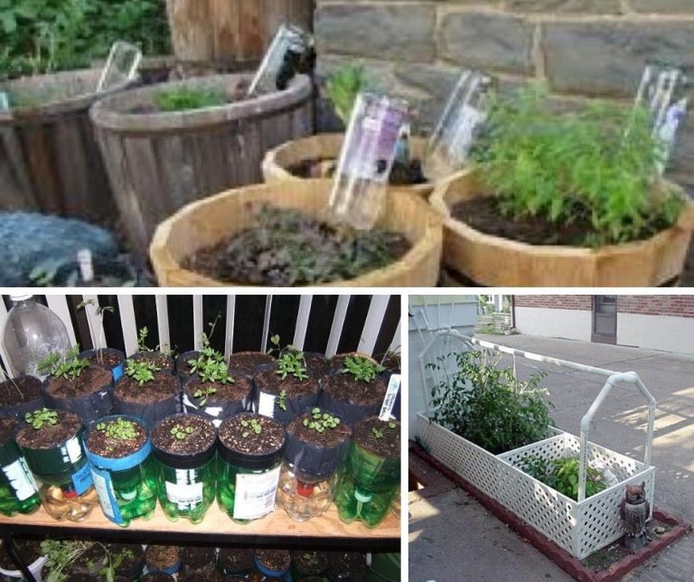 17+ Cheap and Easy DIY Self-Watering Ideas For Your Garden