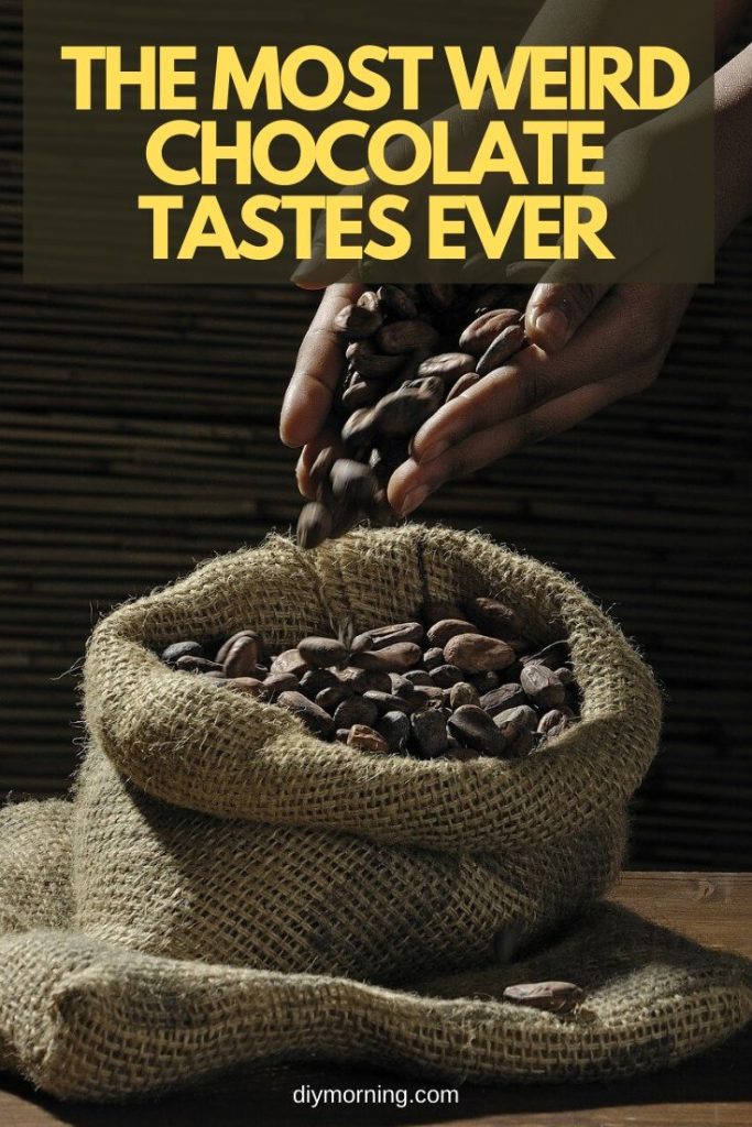 The Most Weird Chocolate Tastes Ever DIY Morning