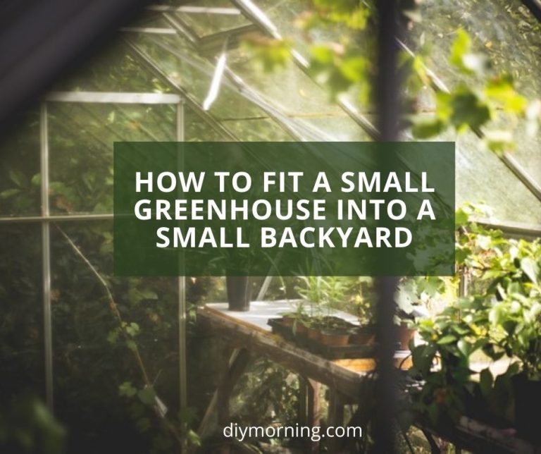 How To Fit A Small Greenhouse Into A Small Backyard