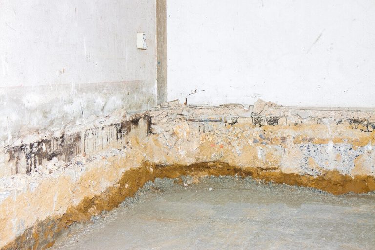 Recognizing Problems with your Crawl Space