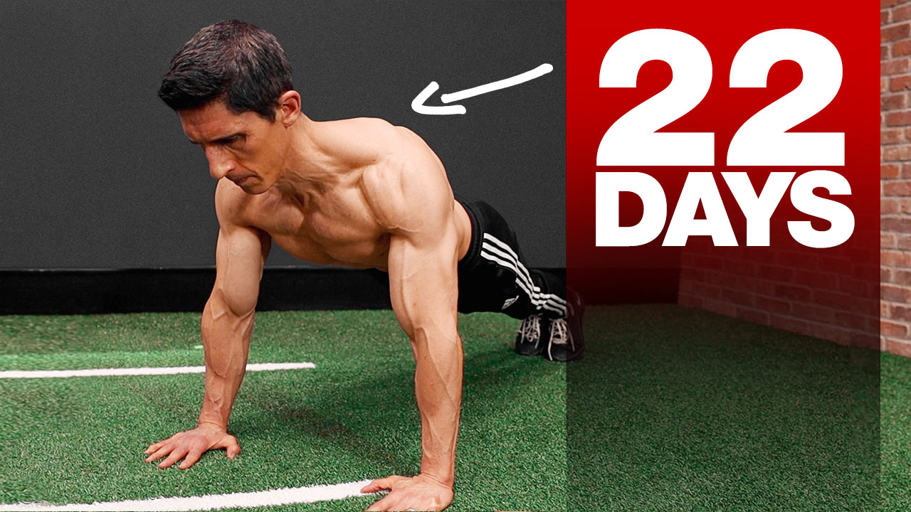 Pushups deals for pecs