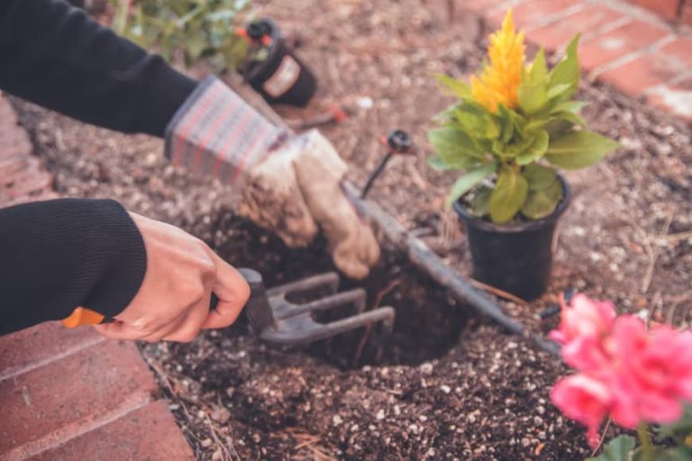 Get Started On Your Gardening Adventure With These 7 Tips