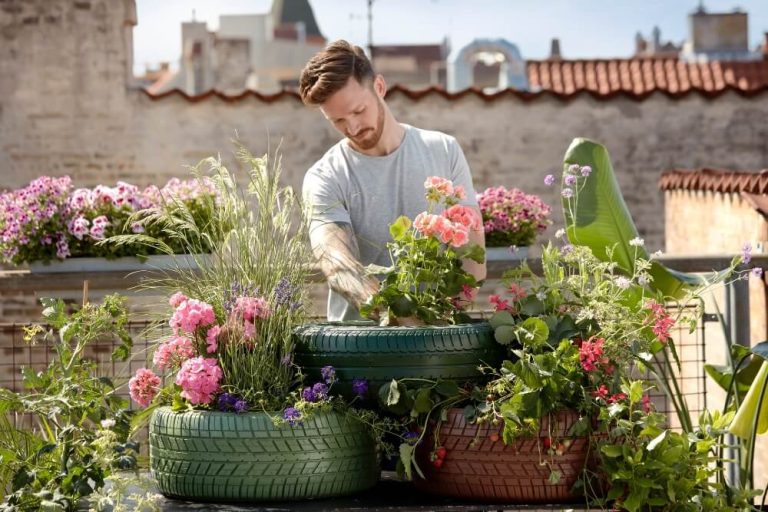 Want To Grow Your Own Plants? Here Are Some Helpful Tips